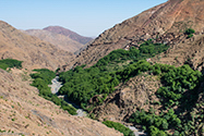 berber villages trek